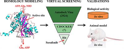 Discovery of Potential Anti-infective Therapy Targeting Glutamine Synthetase in Staphylococcus xylosus